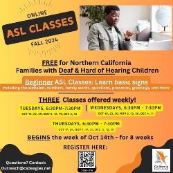 Beginner ASL Classes